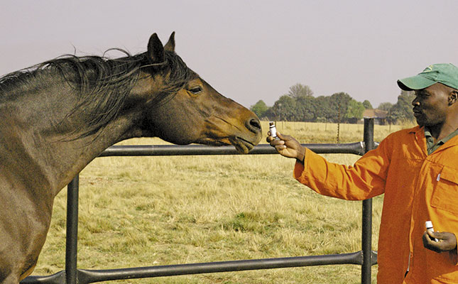 Essential oils for horses
