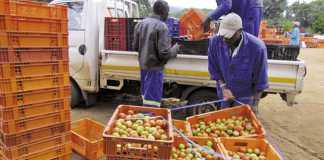 Shaking things up at Mooketsi