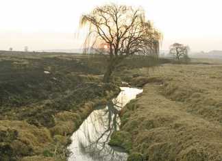 Just how safe is our water?