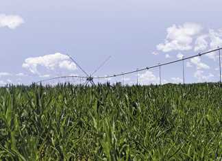 Beira corridor: The good, the bad & the promising
