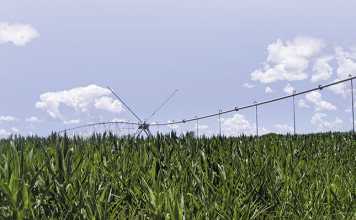 Beira corridor: The good, the bad & the promising