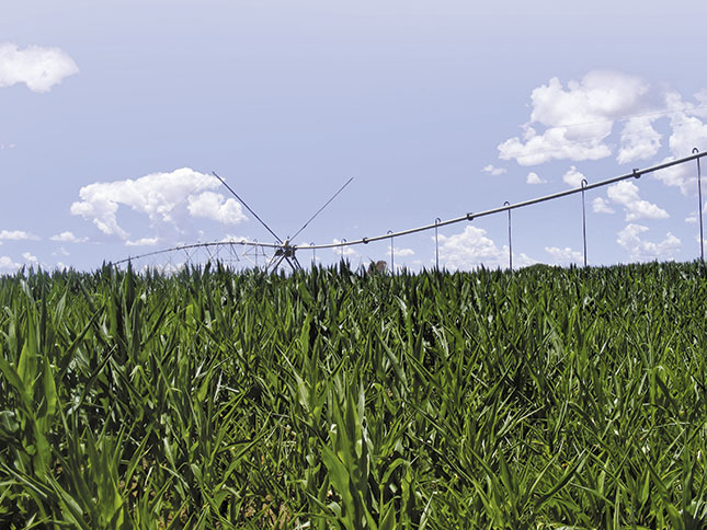 Beira corridor: The good, the bad & the promising Beira corridor: The good, the bad & the promising