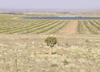 Empowerment in the Kalahari