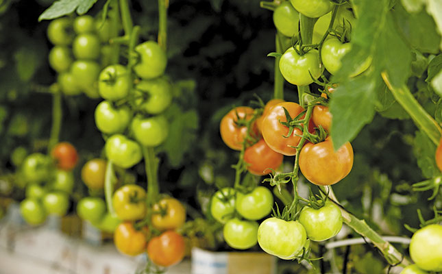 Biological crop protection Biological crop protection