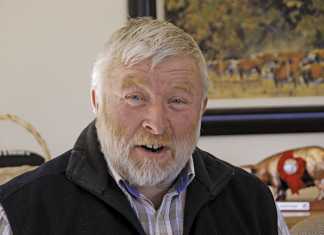 Successful piggery businesses in South Africa