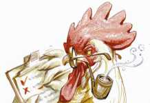 Why-poultry-farmers-fail