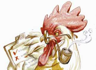 Why-poultry-farmers-fail