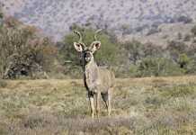 WRSA’s sustainable land reform model