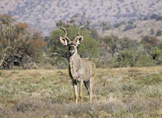 WRSA’s sustainable land reform model