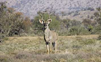 WRSA’s sustainable land reform model