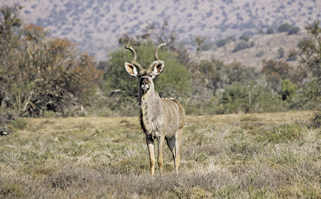 WRSA’s sustainable land reform model