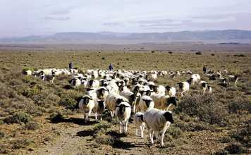 Science-vs-philosophy