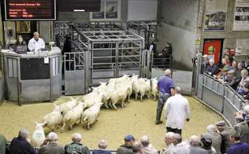 Selling all things Scottish