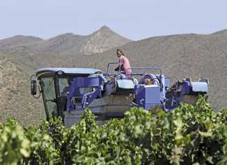SA wine industry’s revamp