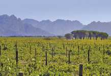 Agritourism adds value to agriculture