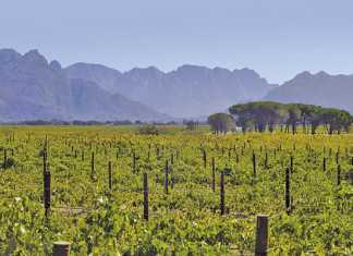 Agritourism adds value to agriculture