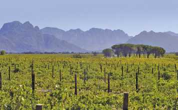 Agritourism adds value to agriculture