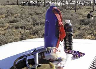 Home-made tonic for sheep