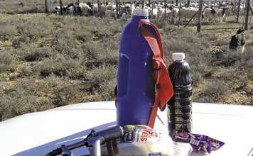 Home-made tonic for sheep