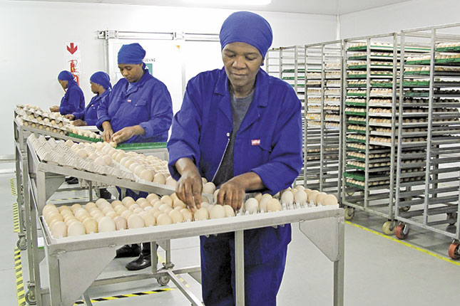 Poultry producers’ recovery Poultry producers’ recovery