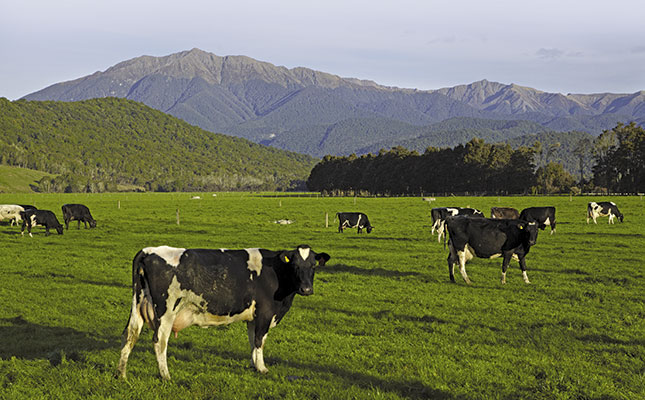 Can once-a-day milking work in South Africa? Can once-a-day milking work in South Africa?
