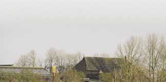 New dairy export era as EU quotas end