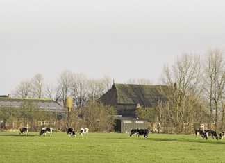 New dairy export era as EU quotas end