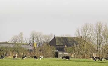 New dairy export era as EU quotas end