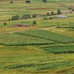 SA’s experts on implementing conservation agriculture