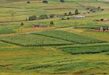 SA’s experts on implementing conservation agriculture