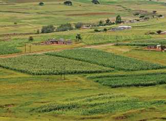 SA’s experts on implementing conservation agriculture