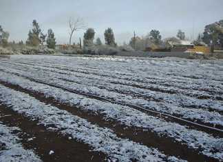 Preparing your land for winter