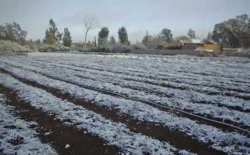 Preparing your land for winter