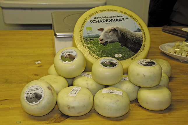 Sheep milk cheese – a quality niche product Sheep milk cheese – a quality niche product