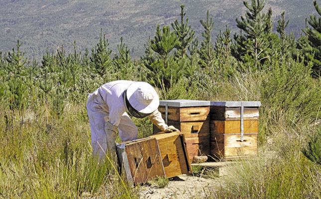 The key to successful honeybee farming The key to successful honeybee farming