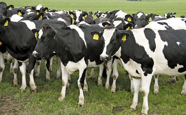 African and Asiatic redwater in cattle African and Asiatic redwater in cattle