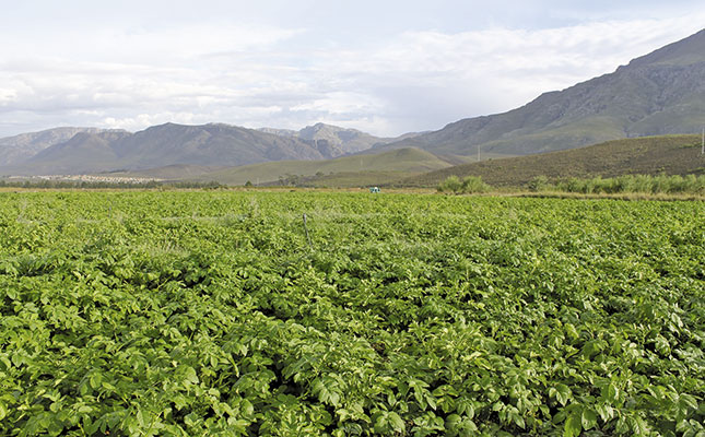 Co-op boosts smallholder farmers’ success Co-op boosts smallholder farmers’ success