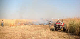How to make a firebreak suited to local conditions