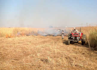 How to make a firebreak suited to local conditions