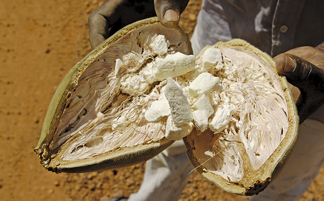 Unlocking the baobab’s feed potential