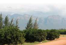 SA top farmer’s transformation success with lease-back model