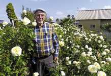 Ludwig’s Roses: For the love of the rose