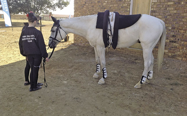 Learn about vaulting Learn about vaulting