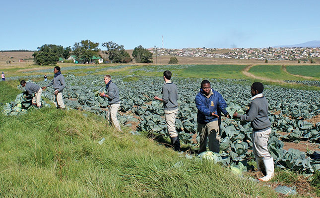 Farmer behaviour, what type of farmer are you? Farmer behaviour, what type of farmer are you?