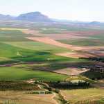 agricultural land
