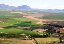 agricultural land