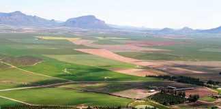 agricultural land
