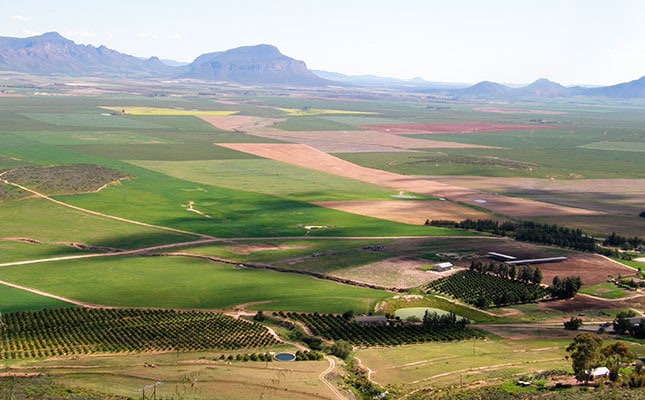 Buying agricultural land – know  your market