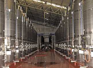 Durbanville Hills wine cellar