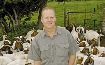 The Boer goat a winning investment
